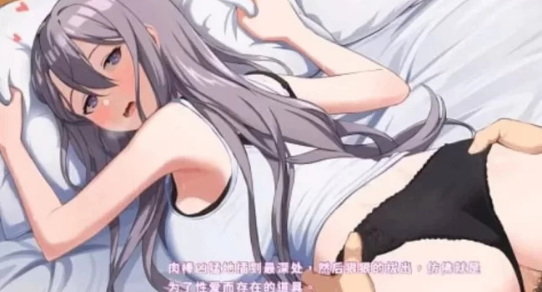 姐姐同居生活幸福的二人房官方中 PC+安卓插图1