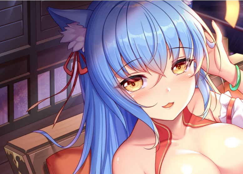 樱姬5 官方中文步兵版[新作]插图
