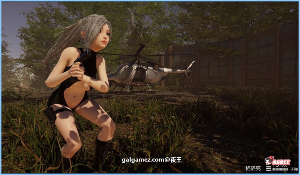 圣光绽放 V4.0B 精翻汉化步兵版插图1