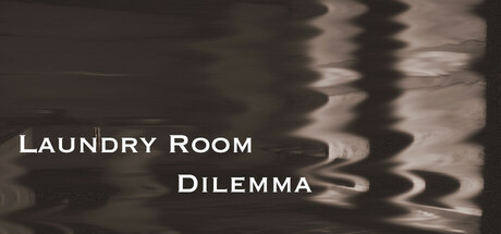 洗衣房困境/Laundry Room Dilemma插图