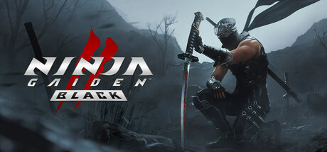 忍者龙剑传2：黑之章/NINJA GAIDEN 2 Black插图