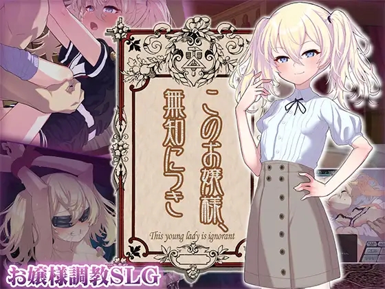 懵懂无知的大小姐 このお嬢様、無知につき AI汉化版插图