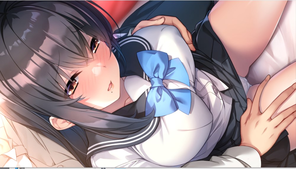 循环支付 官方中文版+全CG存档[新作]