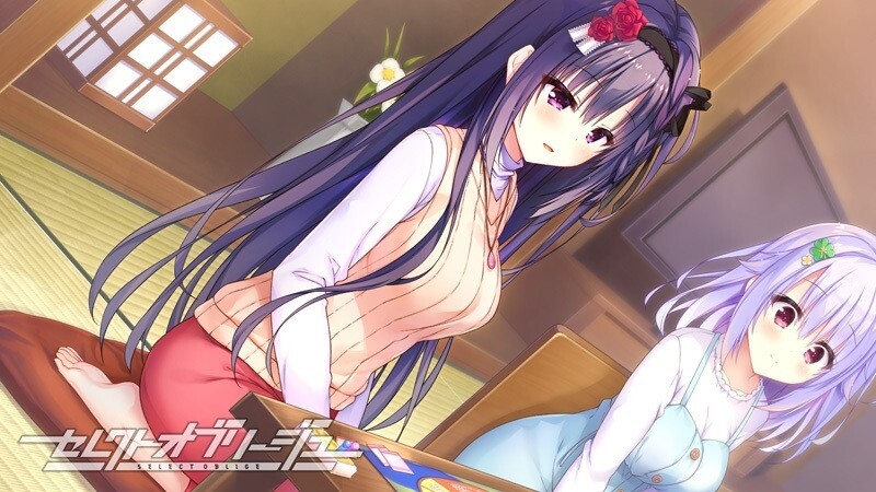 天选庶民的真命之选（セレクトオブリージュ） V1.0 R18版 STEAM官中插图1
