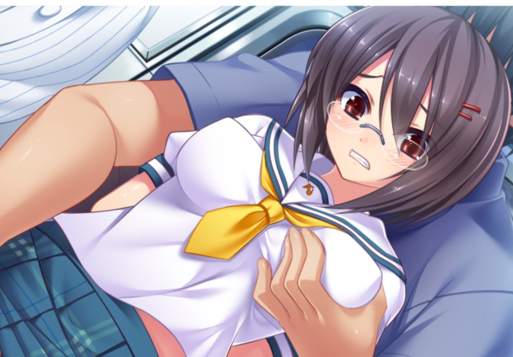 恶作剧 ～只属于我的绝对领域～AI汉化版+特典+全CG存档[新汉化]
