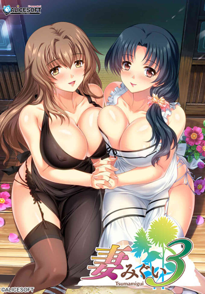 妻中蜜：1+2+3+番外 合集！完整汉化版