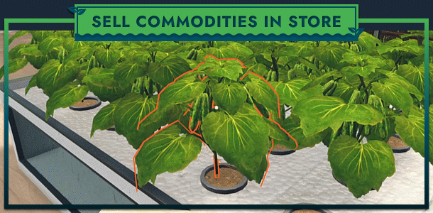 水培农场&商店模拟器/Hydroponics Farm & Store Simulator