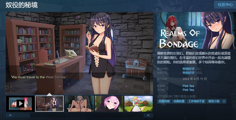 奴役的秘境（Realms Of Bondage）V1.0.4b STEAM官中插图