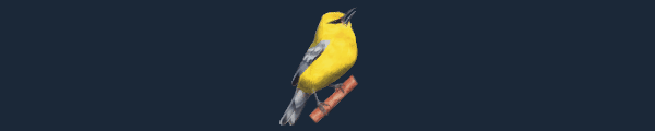 展翅翱翔/WINGSPAN（更新v05.09.2024 ）