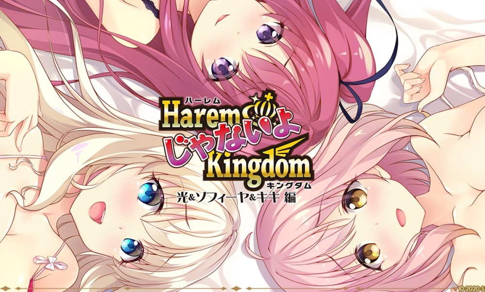 HaremKingdom：异世界后宫篇+FD1+FD2 精翻汉化版+存档攻略[/7.2G]