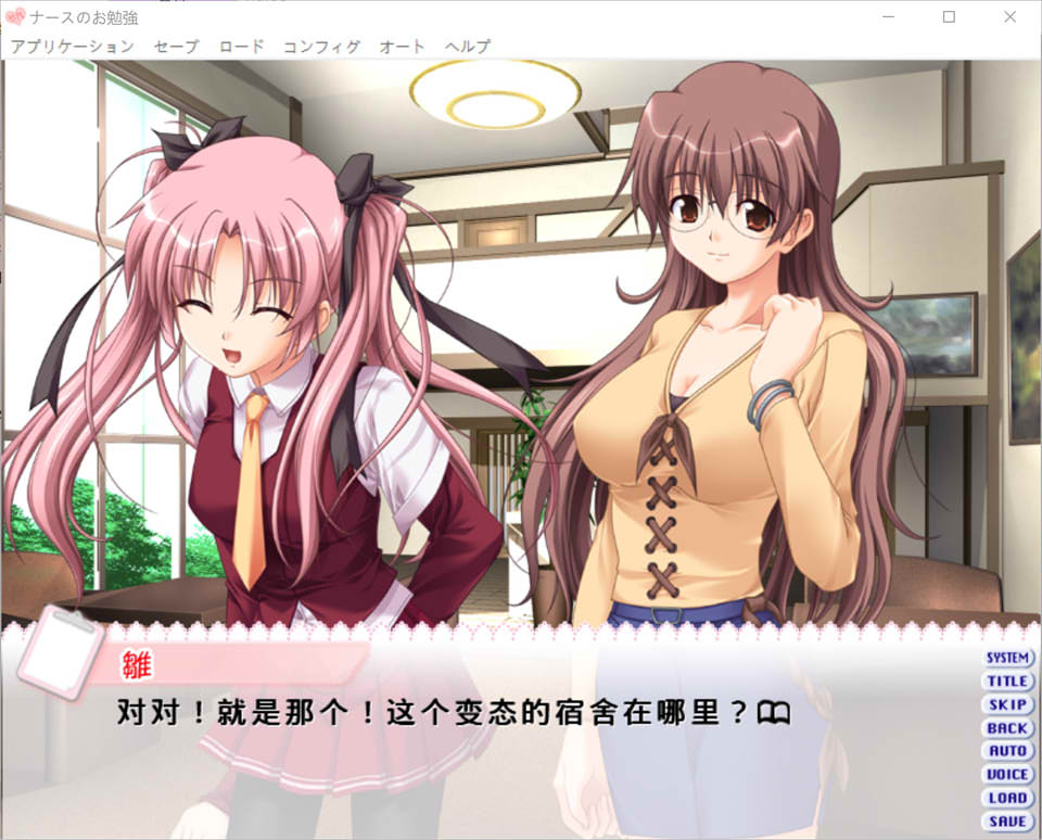 护士学习入门篇~简单易懂的基础护理技术 AI汉化版+全回想[新汉化/1.2G]插图