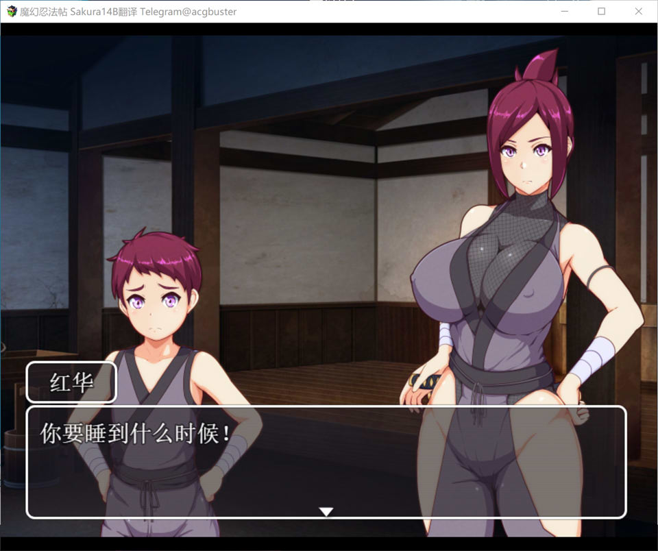 魔幻忍法帖 AI汉化挂载版+全回想存档[新汉化/1.3G]插图