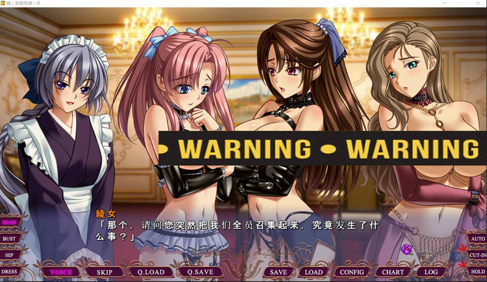 馆~官能奇谭~IE AI汉化版+全CG回想★全CV[新汉化/3.7G]
