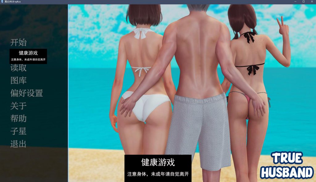 真丈夫 True Husband Base Edition【PC+安卓2.23G】插图