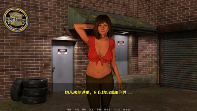 一骑黑马(A Dark Horse Riding) ver1.5 汉化版 PC+安卓 SLG游戏