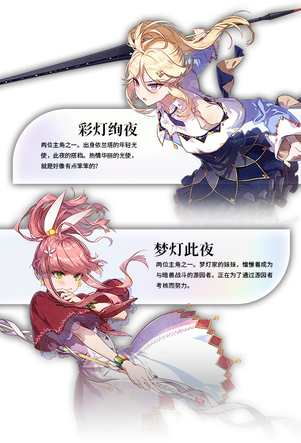 梦灯花