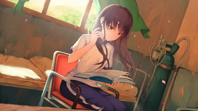 候鸟【PC+安卓中文】插图