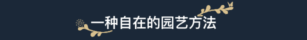 花园生涯：模拟佛系生活 （更新v1028）