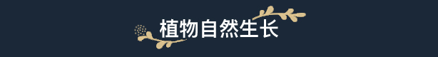 花园生涯：模拟佛系生活 （更新v1028）