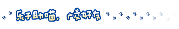 小猫咪大城市/Little Kitty,Big City （更新v1.24.6.12）