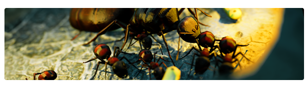 地下蚁国/Empires of the Undergrowth（更新v1.000022）