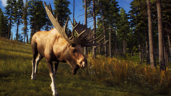 猎人之路/Way of the Hunter（更新v1.24.3）