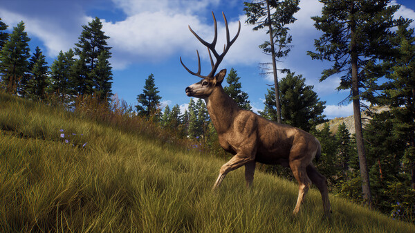 猎人之路/Way of the Hunter（更新v1.24.3）