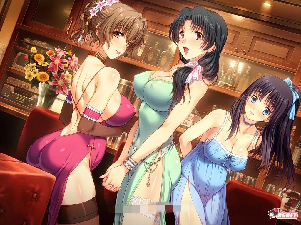 妻中蜜（1+2+3 合集） 完整中文汉化版 全CG档+攻略+全动画