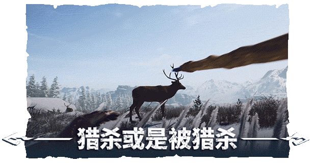 冬日幸存者/Winter Survival （更新v14289s）